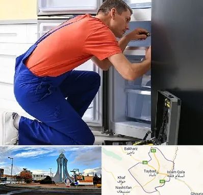 تعمیر یخچال در تایباد