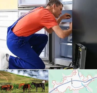 تعمیر یخچال در تالش