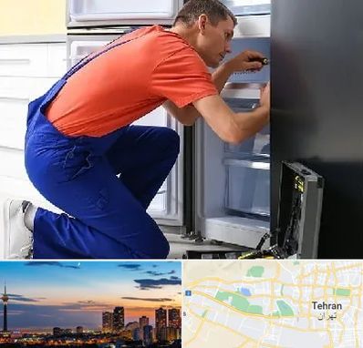 تعمیر یخچال در غرب تهران