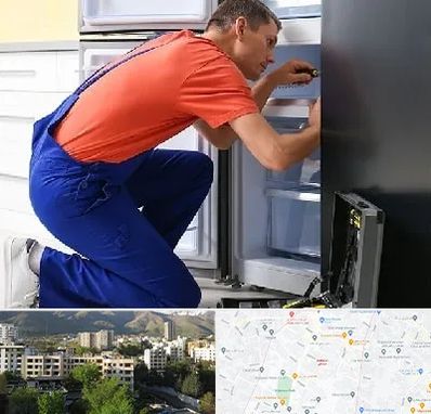 تعمیر یخچال در دیباجی