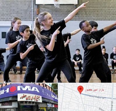 کلاس رقص عربی در امین حضور