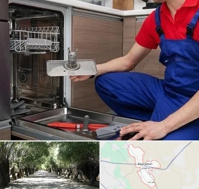 تعمیر ماشین ظرفشویی در باغستان