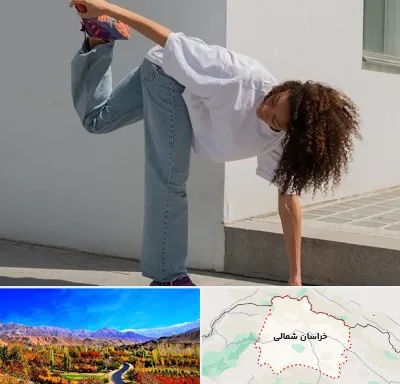 کلاس رقص شافل در خراسان شمالی