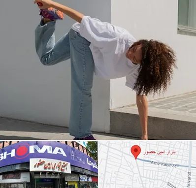 کلاس رقص شافل در امین حضور