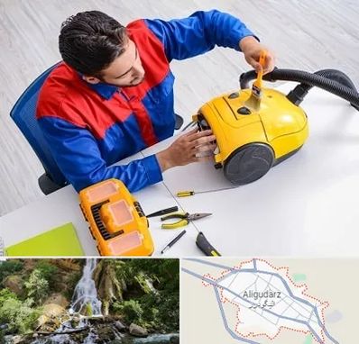 تعمیر جاروبرقی در الیگودرز