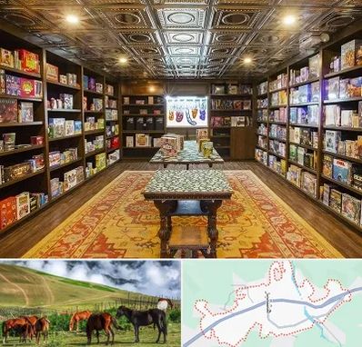 فروشگاه بازی فکری در تالش