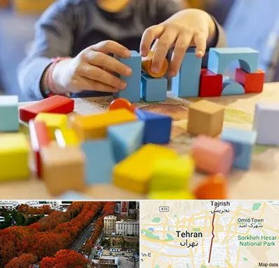 اسباب بازی فکری در ولیعصر 