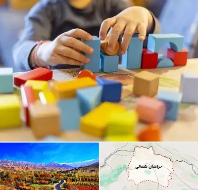 اسباب بازی فکری در خراسان شمالی