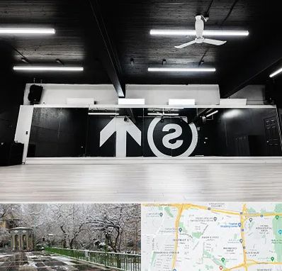 کلاس رقص بانوان در باغ فیض