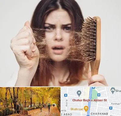 دکتر ریزش مو در چهارباغ اصفهان