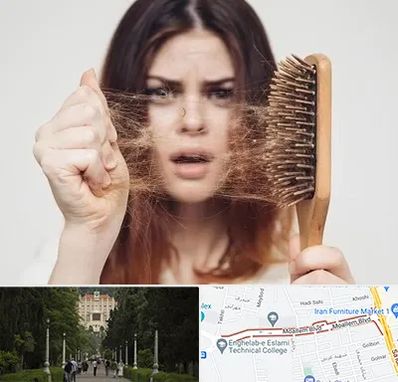 دکتر ریزش مو در بلوار معلم رشت 