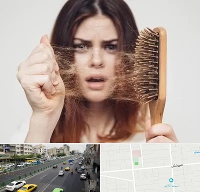 دکتر ریزش مو در خیابان دامپزشکی