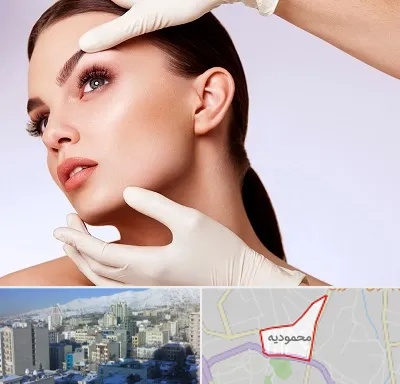 دکتر رفع غبغب در محمودیه