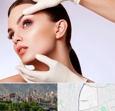 دکتر رفع غبغب در جمشیدیه