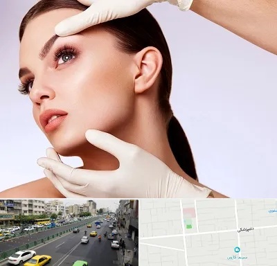 دکتر رفع غبغب در خیابان دامپزشکی