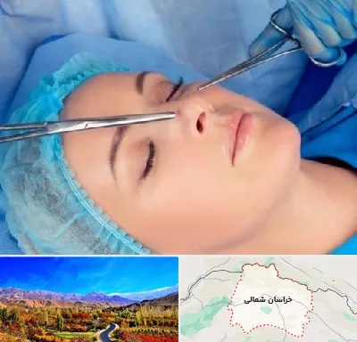 عمل بینی نیمه فانتزی در خراسان شمالی