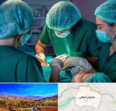 عمل کوچک کردن سینه در خراسان شمالی