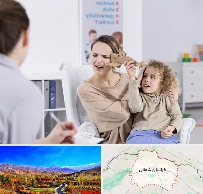 روانشناس بیش فعالی در خراسان شمالی