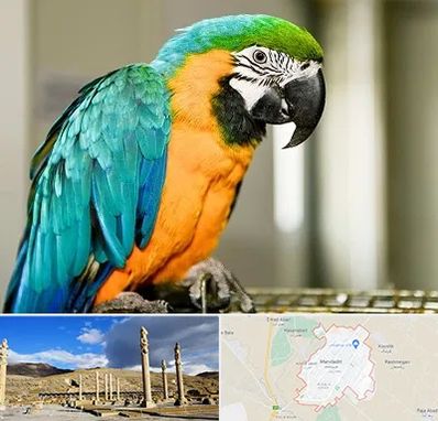 داروخانه شبانه روزی پرندگان در مرودشت