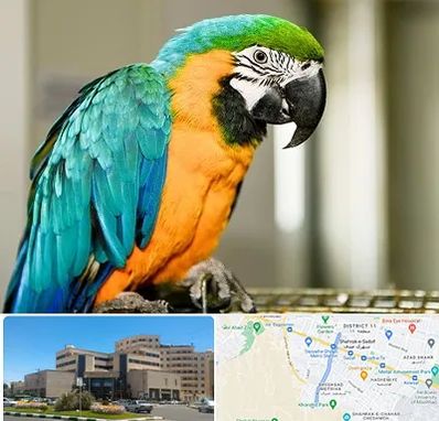 داروخانه شبانه روزی پرندگان در صیاد شیرازی مشهد