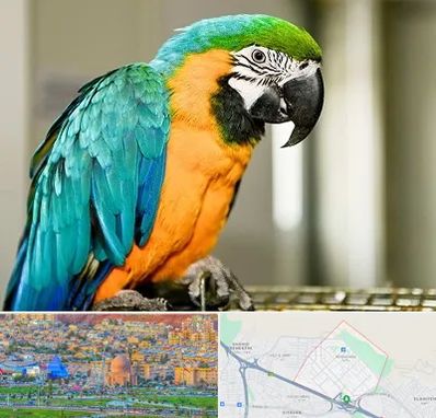 داروخانه شبانه روزی پرندگان در رشدیه تبریز