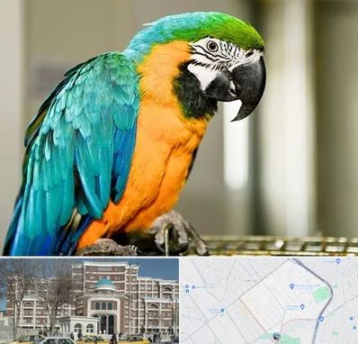 داروخانه شبانه روزی پرندگان در طلاب مشهد