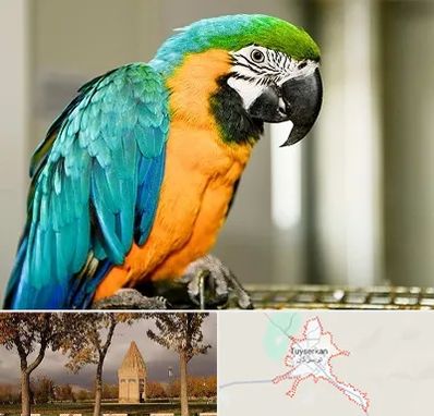 داروخانه شبانه روزی پرندگان در تویسرکان