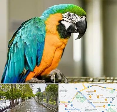 داروخانه شبانه روزی پرندگان در خیابان ارم شیراز