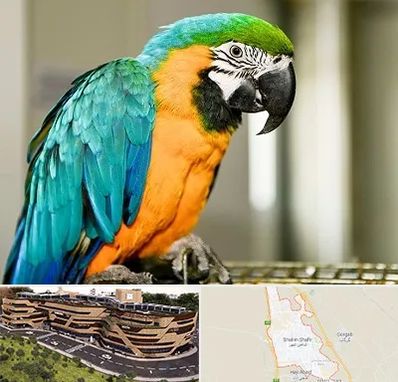 داروخانه شبانه روزی پرندگان در شاهین شهر