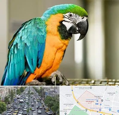 داروخانه شبانه روزی پرندگان در گلشهر کرج