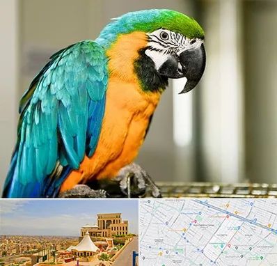 داروخانه شبانه روزی پرندگان در هاشمیه مشهد