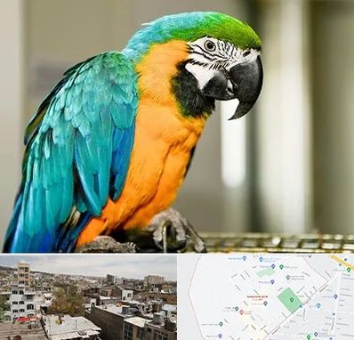 داروخانه شبانه روزی پرندگان در شمیران نو