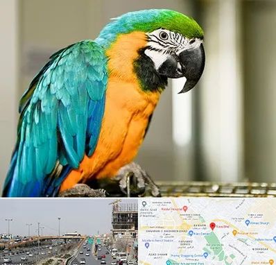 داروخانه شبانه روزی پرندگان در بلوار توس مشهد