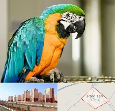 داروخانه شبانه روزی پرندگان در پردیسان قم