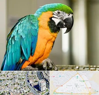 داروخانه شبانه روزی پرندگان در قاسم آباد مشهد