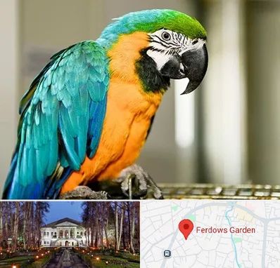 داروخانه شبانه روزی پرندگان در باغ فردوس