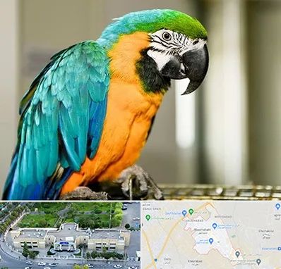 داروخانه شبانه روزی پرندگان در نسیم شهر