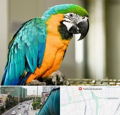 داروخانه شبانه روزی پرندگان در بلوار فرحزادی