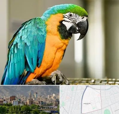 داروخانه شبانه روزی پرندگان در جمشیدیه