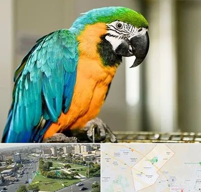 داروخانه شبانه روزی پرندگان در کمال شهر کرج