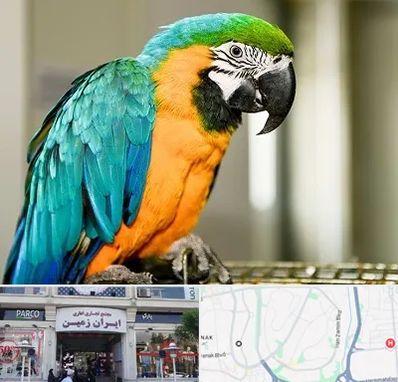 داروخانه شبانه روزی پرندگان در ایران زمین