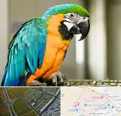 داروخانه شبانه روزی پرندگان در الهیه مشهد