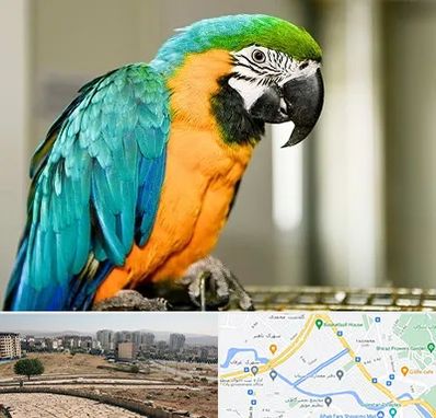 داروخانه شبانه روزی پرندگان در کوی وحدت شیراز