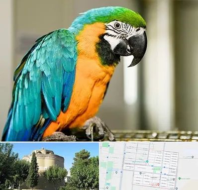 داروخانه شبانه روزی پرندگان در مرداویج اصفهان