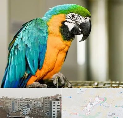 داروخانه شبانه روزی پرندگان در محمد شهر کرج