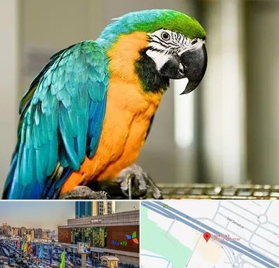 داروخانه شبانه روزی پرندگان در لاله پارک تبریز