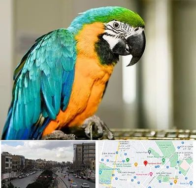 داروخانه شبانه روزی پرندگان در بلوار فردوسی مشهد