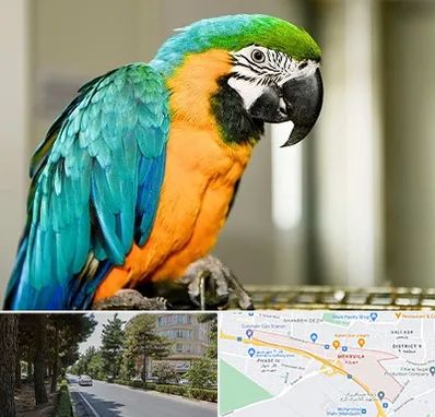 داروخانه شبانه روزی پرندگان در مهرویلا کرج