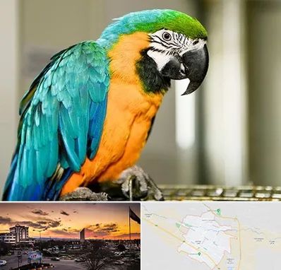 داروخانه شبانه روزی پرندگان در قوچان