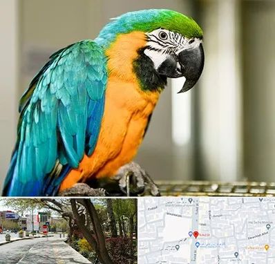 داروخانه شبانه روزی پرندگان در خیابان توحید اصفهان